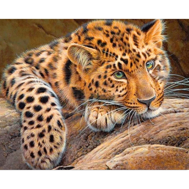 Diamond painting 30x40cm Leopard