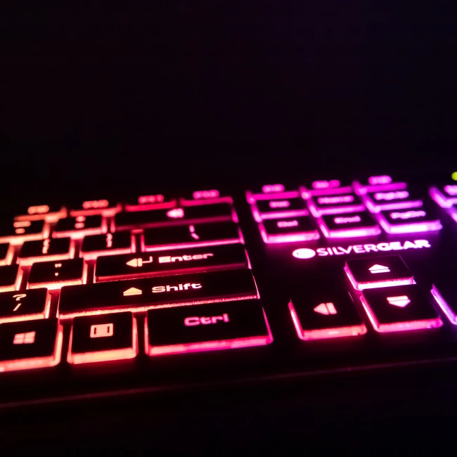 Gaming Keyboard with Flat Keycaps